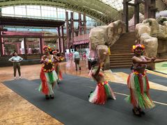 -杭州开元森泊度假乐园