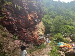-南海湾森林生态园