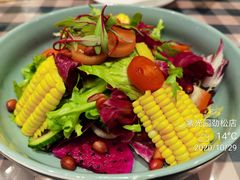 -紫光园·烤鸭·北京菜(劲松店)