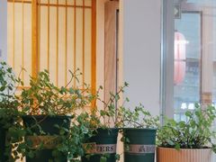 -酒井酱子·深夜食堂(东城汇店)