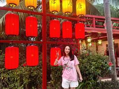 -三亚海昌梦幻海洋不夜城