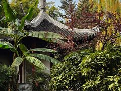 -秋霞圃