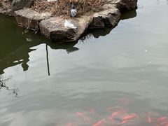 -重元寺香积厨素斋馆