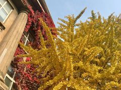 -辽宁大学(崇山校区)