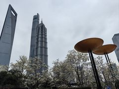 -陆家嘴中心绿地