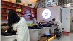 -岳灵生发养发馆