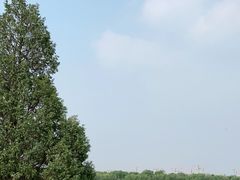 -素心小筑(后沙裕镇店)