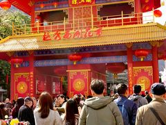 -越秀西湖花市(广州城市广场花卉店)