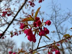 -玄武湖景区-情侣园游乐场