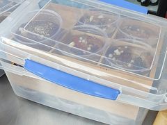 -青龙湖公园