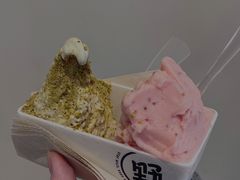 -野人牧坊Gelato(苏州中心店)