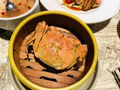 -桂满陇天书(南京德基旗舰店)