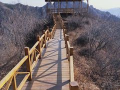 -大岭沟猕猴桃谷风景区
