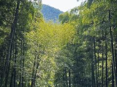 -东明山森林公园