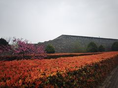 -秦始皇帝陵博物院-丽山园