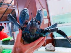 -海盗餐厅
