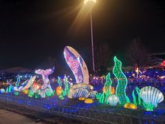 -华夏文旅海洋公园