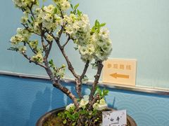 -陶然亭公园