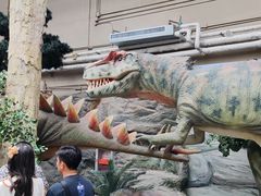 -国家自然博物馆