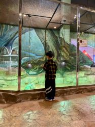 -宝燕乐园(闵行旗舰店)