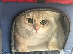-美联众合动物医院·24h转诊中心