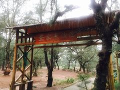 -北海金海湾红树林生态旅游区