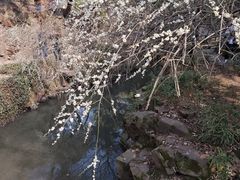 -北寺塔