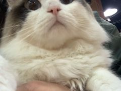 -白兔子密室(长寿路店)