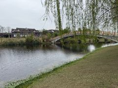 -白鹭湾湿地公园