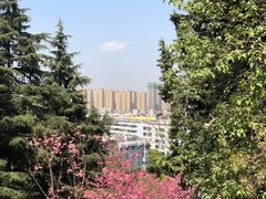 -昆明动物园