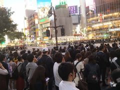 -涩谷区
