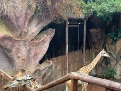 -长鹿旅游休博园