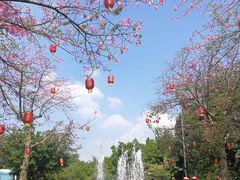 -中旅阿那亚九龙湖·公主酒店