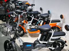 -雅迪电动车(北艾路店)