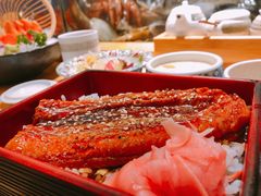 -鲔屋寿喜烧