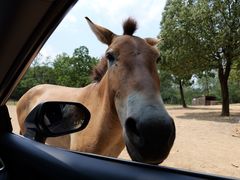 -杭州野生动物世界