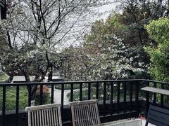 -日出青木