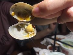 -船歌鱼水饺(淄博万象汇店)