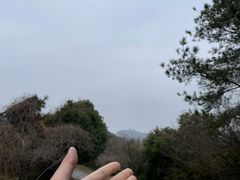 -穹窿山景区