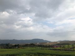 -光明小镇欢乐田园