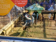 -无锡动物园·太湖欢乐园