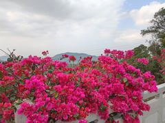 -广州市帽峰山景区