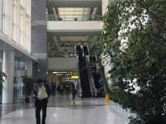 iphone_upload_pic-上海市公安局出入境管理总队