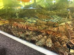 -顺德了能馆(虎门店)