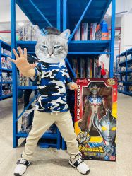 -逝水玩具折扣店