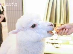 -茂业天地(华强北店)