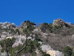 -鹫峰国家森林公园