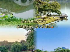 -顺峰山公园