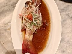 -喜来登由由大酒店九州膳坊中餐厅