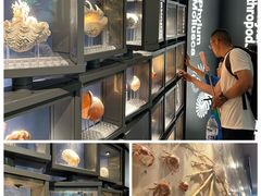 -中国湿地博物馆